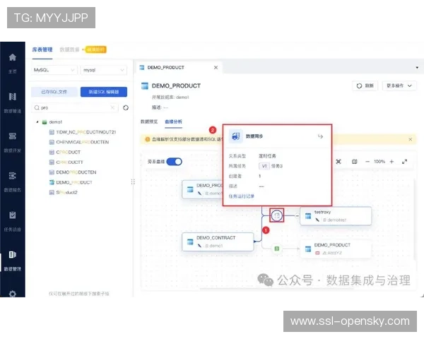 数据血缘追踪工具精准定位流向，增强可控性
